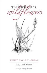 Thoreau's Wildflowers by Thoreau, Henry & Moser, Barry