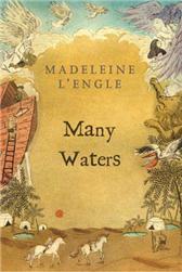 Many Waters by L'Engle, Madeleine