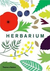 Herbarium by Hildebrand, Caz