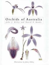 Orchids of Australia by Riley, John J.