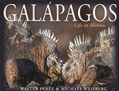 Galápagos by Perez, Walter & Michael Weisberg