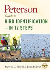 Peterson Guide to Bird Identification--In 12 Steps by Howell, Steve N. G. & Brian Sullivan